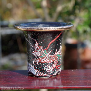 yő50%OFFN[|sIzyi No. 4992z y Aؔ@y@ ؍3.5@EΝ͔@yzyyĔ y yz