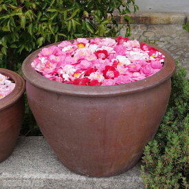 アジアンテイスト 南蛮焼 水鉢 (特大 63cm）　【輸入商社直送のため同梱不可】【送料無料】【ハス鉢 蓮鉢 スイレン鉢 睡蓮鉢 金魚 コイ】【陶器 大型 メダカ ビオトープ】