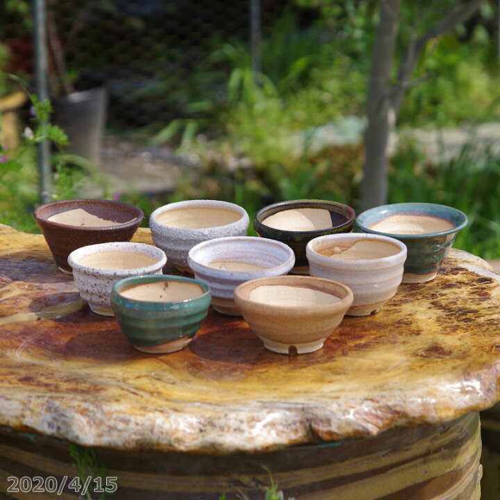 楽天市場】【10%OFFクーポン対象 〜3/18】信楽焼 植木鉢 陶器 久庵窯 