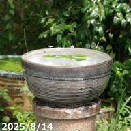 【あす楽対応】天目ボール 13号（水あふれ防止小穴有）（外径40cm 高さ21cm） 信楽焼 睡蓮鉢 【送料無料…