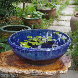 【最大50%OFFクーポン発行中！】信楽焼 睡蓮鉢 陶器 大型　青ガラス浅型水鉢　19号（外径58cm 高さ22cm） ＋お好きな水草 ＋メダカ10匹（死着保証無）プレゼント【送料無料】【水鉢 大きい メダカ鉢 金魚鉢 ハス鉢 茶碗蓮鉢 スイレン鉢 特大】 big_b _bb