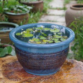 楽天市場】 園芸用品 > 花蓮・睡蓮・メダカ鉢 > 信楽焼 > 13号 : 石田 