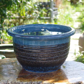 楽天市場 睡蓮鉢 13号の通販