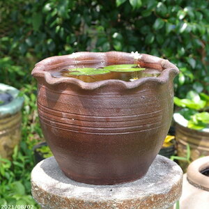 yyΉzAWAeCXg؏ā@։ԁ@()@Oa30cm@y_J@q@@qXC@P@@AiATUAKKu^jzyAВ̂ߓsz