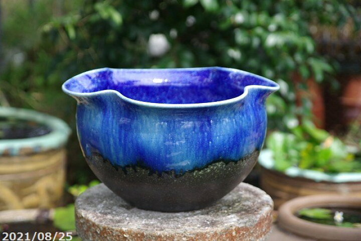 信楽焼 壷久郎作 メダカ鉢 睡蓮鉢 水鉢 直径32cm 