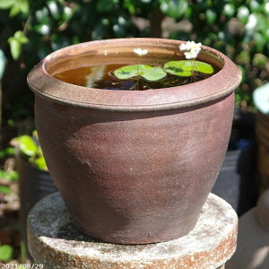 【あす楽対応】アジアンテイスト南蛮焼 深水鉢(小) 外径30cm 【メダカ鉢 茶碗蓮鉢 ヒメスイレン鉢 姫睡蓮鉢 水生植物(アサザ、ガガブタ等)】【送料無料】【輸入商社直送のた