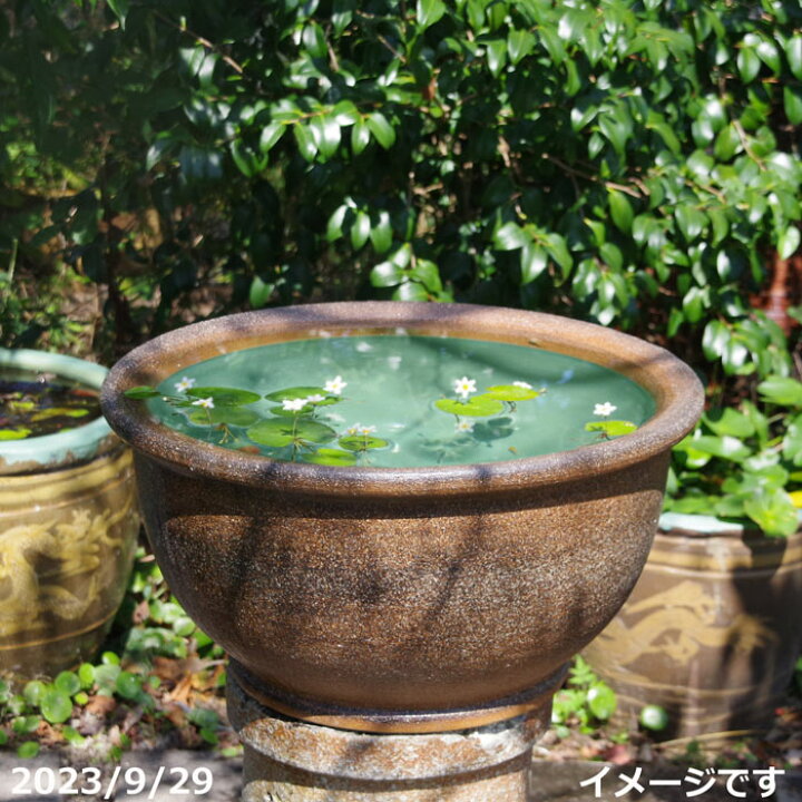 楽天市場】【あす楽対応】 信楽焼 睡蓮鉢 陶器 大型 窯肌ケズリ鈴型 