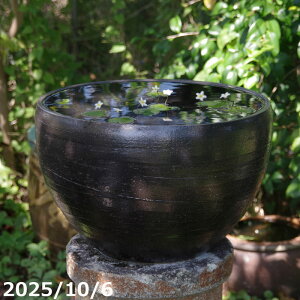 yi_No.7386zт˂iNj@}bg@ی^ 14@My @ @yzy _J @ rIg[v A JLco^z