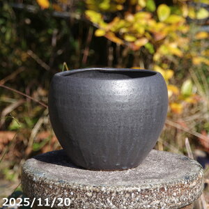 y7%OFFN[|ΏہI`12/15z^[{|bg@ց@6iOa19cm 16cmjTiT[rX@My Aؔ@yR쑐 A T{e ~͔ Ԗ؎ؕc ʎc AKx 򍪐A 