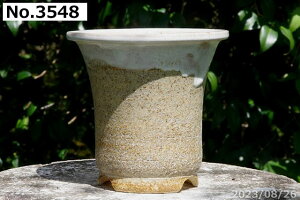 yN[|sI`11/11zMy Aؔ @Iׂ ኄiy[j D㉺|(B) 5(a15cm 17cm) TiT[rXyR쑐 A T{e ~͔ ʎc AKx