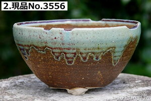 yN[|sI`11/11zMy Aؔ @Myē`H|m   (Ð哰q) Iׂ т˂(N) ؊ۑt 6 TiT[rXyR쑐 A T{e