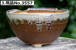 yN[|sI`11/27zMy Aؔ @Myē`H|m   (Ð哰q) Iׂ т˂(N) ؊ۑt 6 TiT[rXyR쑐 A T{e