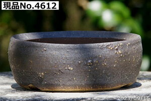 �y�ő�50%OFF�N�[�|�����s���I�z�M�y�� �A�ؔ� ���� (���X���)�@�M�y�ē`���H�|�m ��� ������ ��(�Ð哰�q)�@��т˂�(���N������) ���ʒ��[ 4��(�O�a12cm ����6.5cm) �y�R�쑐�� �����A���� 