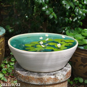 т˂(N) }bg 󐅔12(Oa36cmj {DȐi엿t){_J5C(ۏؖ)v[g My @ @yzy _J  nX q@