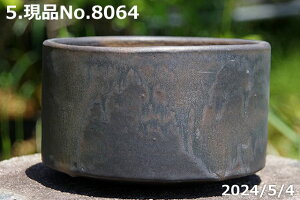 yő50%OFFN[|sIzMy Aؔ@Iׂ @ʃr[h @R@6iOa17.8cm 11.5cmjTiT[rX@yGrl tz yR쑐 A T{e ~