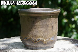 y7%OFFN[|ΏہI`12/15zMy Aؔ @Iׂ@т˂(N) Ȋ^ڔSygp@Iׂ@ʃr[h[ 4 TiT[rXyR쑐 A T{e ~