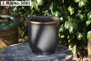 【クーポン発行中!〜10/30】【キズ有の物には割引あり】信楽焼 植木鉢 陶器 選べる 金彩大深鉢 5号(外径14cm 高さ14.5cm)サナサービス【古典園芸 伝統園芸植物鉢】【山野草鉢 多肉植物