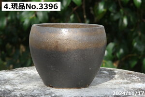 yN[|sI `9/25zMy Aؔ @Iׂ ^[{|bg(11) ㉺|  3.5iOa10.0cm 10.5cm) TiT[rXyR쑐 A T{e ~͔ ʎc AKx 