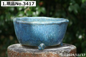 �y�ő�50%OFF�N�[�|�����s���I�z�M�y�� �A�ؔ� ����@��т˂�i���N�������j�I�ׂ� �u���[�K���X���t ���[���@8��(�O�a24cm ����12cm) �T�i�T�[�r�X�y�R�쑐�� �����A���� �T�{�e���� �~�͔� 