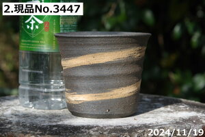 yN[|sI`11/11zMy Aؔ @т˂(N) @Iׂ@іڃ\[ 3.5iOa11cm 9cmjyR쑐 A T{e ~͔ Ԗ؎ؕc ʎc AKx