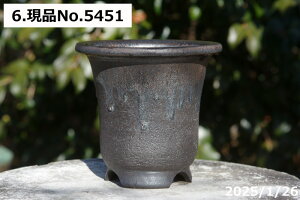 yN[|sI`11/27zMy Aؔ @Iׂ ʃr[h ኄiy[j 4.5iOa14.5-15cm 14cmj TiT[rXyR쑐 A T{e ~͔ ʎc A