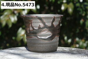 yN[|sI`11/27zMy Aؔ @Iׂ@т˂(N) Sփ\@3.5@TiT[rXyR쑐 A T{e ~͔ Ԗ؎ؕc ʎc AKx 򍪐A