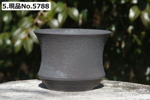 yN[|sI`11/11zMy Aؔ @т˂(N) @Iׂ @S(q) @[\(S)@ 4 TiT[rXyR쑐 A T{e ~͔ Ԗ؎ؕc 