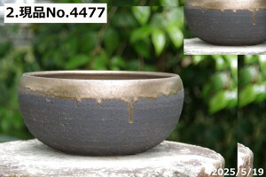 �y�ő�50%OFF�N�[�|�����s���I�z�I�ׂ� ���ʒ��[ 7���@�T�i�T�[�r�X�@�M�y�� �A�ؔ��@�y�R�쑐�� �����A���� �T�{�e���� �~�͔� �ʎ��c �A�K�x �򍪐A���z