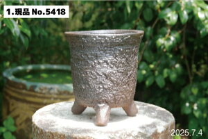 yN[|sI`10/30zq 12@Iׂ  6iOa18cm 19cmj TiT[rX My Aؔ yR쑐 A T{e ~͔ ʎc AKx 򍪐Az