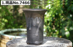 yN[|sI`11/27zy Iׂ ʃr[h 3.5iOa10.5cm 16cmj TiT[rX@My Aؔ @yR쑐 A T{e ~͔ ʎc AKx 򍪐A