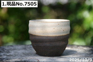 yő50%OFFN[|sIzт˂(N) @Iׂ@㉺| ۔~j 2.5@ TiT[rX@My Aؔ @yR쑐 A T{e ~͔ Ԗ؎ؕc ʎ