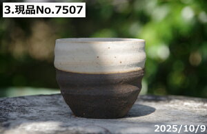 yN[|sI`11/11zт˂(N) @Iׂ@㉺| ۔~j 2.5@ TiT[rX@My Aؔ @yR쑐 A T{e ~͔ Ԗ؎ؕc ʎc 