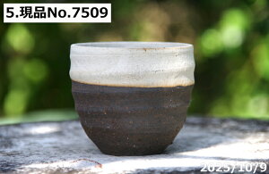 yN[|sI`11/11zт˂(N) @Iׂ@㉺| ۔~j 2.5@ TiT[rX@My Aؔ @yR쑐 A T{e ~͔ Ԗ؎ؕc ʎc 