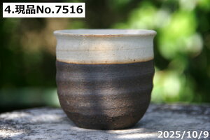 �y�ő�50%OFF�N�[�|�����s���I�z��т˂�(���N������)�@ �I�ׂ�@�㉺�|���� �\�� �۔��~�j 2.5���@�T�i�T�[�r�X �M�y�� �A�ؔ� ����@�y�R�쑐�� �����A���� �T�{�e���� �~�͔� �ʎ��c �A�K