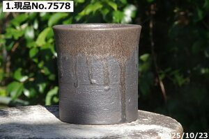 Iׂ  r[h  4iOa12cm 12.5cmj TiT[rX@My Aؔ @yR쑐 A T{e ~͔ ʎc AKx 򍪐Az