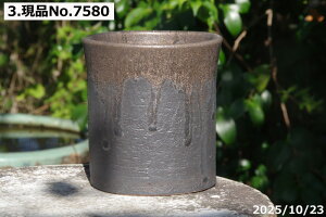 yN[|sI`11/11zIׂ  r[h  4iOa12cm 12.5cmj TiT[rX@My Aؔ @yR쑐 A T{e ~͔ ʎc AKx 򍪐Az