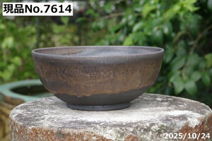 yN[|sI`11/11zт˂(N) @Iׂ@ʃr[h [ 7@TiT[rX@My AؔyR쑐 A T{e ~͔ ʎc AKx 򍪐Az