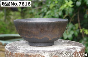 yN[|sI`11/11zт˂(N) @Iׂ@ʃr[h [ 7@TiT[rX@My AؔyR쑐 A T{e ~͔ ʎc AKx 򍪐Az