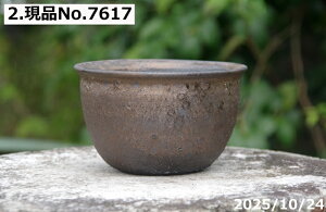 yN[|sI`11/11zIׂ@т˂(N)@ʂڂ@۔@4@TiT[rX@My Aؔ @yR쑐 A T{e ~͔ Ԗ؎ؕc ʎc AK