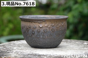 yN[|sI`11/27zIׂ@т˂(N)@ʂڂ@۔@4@TiT[rX@My Aؔ @yR쑐 A T{e ~͔ Ԗ؎ؕc ʎc AK