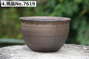 yN[|sI`11/11zIׂ@т˂(N)@ʂڂ@۔@4@TiT[rX@My Aؔ @yR쑐 A T{e ~͔ Ԗ؎ؕc ʎc AK