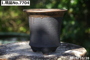 Iׂ@ʏ㉺|\[^ Oc 4.5 TiT[rX @My Aؔ @yR쑐 A T{e ~͔ Ԗ؎ؕc ʎc AKx 򍪐A A rU[v