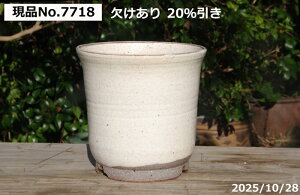 y󂠂茻izт˂(N)@@[5iOa16cm 15.5cmj TiT[rX@My Aؔ  yR쑐 A T{e ~͔ ʎc AKx 򍪐Az