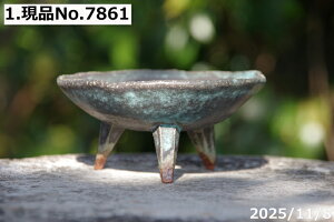 Iׂ@|֍t 3.5ia11cm 5.5cmjMy Aؔ @yR쑐 A T{e ~͔ Ԗ؎ؕc@ʎc@AKx@򍪐A@A@rU[vc