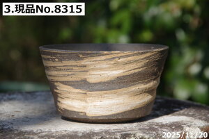 y7%OFFN[|ΏہI`12/15zт˂(N) @Iׂ@іڐ 4ia12cm 6.5cmjMy Aؔ @yR쑐 A T{e ~͔ Ԗ؎ؕc ʎc AKx 