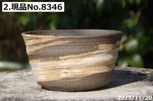 т˂(N) @Iׂ@іڐ 4ia12cm 6.5cmjMy Aؔ @yR쑐 A T{e ~͔ Ԗ؎ؕc ʎc AKx 򍪐A A rU[v