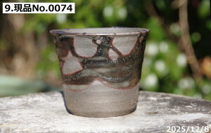 �y�ő�50%OFF�N�[�|�����s���I�z�I�ׂ�@��т˂�(���N������) �S�փ\���@3.5���@�T�i�T�[�r�X�@�M�y�� �A�ؔ� ����@�y�R�쑐�� �����A���� �T�{�e���� �~�͔� �Ԗ؎��ؕc �ʎ��c �A�K�x ��