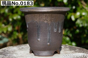 �M�y�� �A�ؔ� ����@�I�ׂ� �ኄ�����i�y����[�j ���ʃr�[�h�� 5���i�O�a16cm ����15cm�j �T�i�T�[�r�X�y�R�쑐�� �����A���� �T�{�e���� �~�͔� �ʎ��c �A�K�x �򍪐A���z