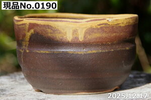 �M�y�� �A�ؔ� ����@�I�ׂ� ���[�S�֔� 5���i�O�a15cm ����9cm�j�y�R�쑐�� �����A���� �T�{�e���� �~�͔� �Ԗ؎��ؕc �ʎ��c �A�K�x �򍪐A�� ����A�� �r�U�[���v�����c �������ȐA�� �ϗt