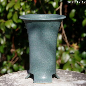 �M�y�� �A�ؔ��@�� �����ڂ胉���� 5���i�O�a16cm ����24.5cm�j �T�i�T�[�r�X�y�������� �J���������z�y�R�쑐�� �����A���� �T�{�e���� �~�͔� �ʎ��c �A�K�x �򍪐A���z